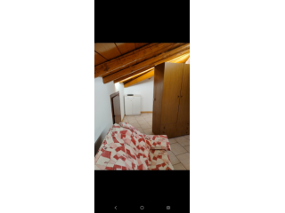 Affittasi Appartamento