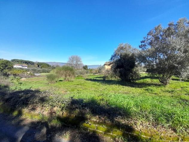 Terreno Edificabile - Rif. 2365 - Foto 13