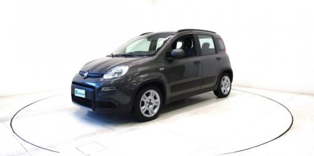 FIAT Panda 1.0 FireFly Hybrid Manuale * OK NEOPA.* rif. 23216845 - Foto 3