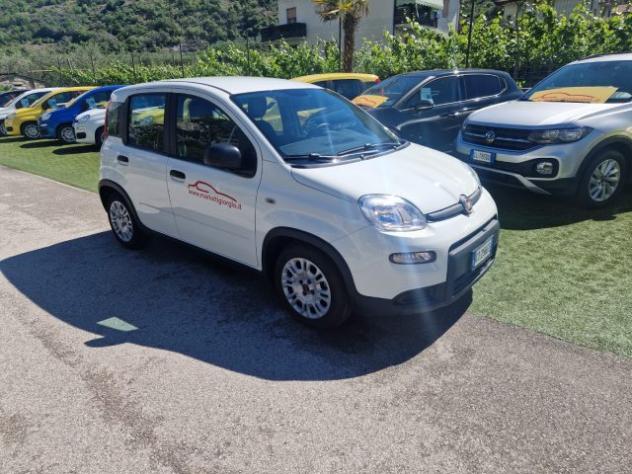 FIAT Panda 1.0 FireFly S&S Hybrid rif. 23698759 - Foto 7