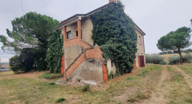 ZONA PILA CASALE RUSTICO DI CIRCA 450 MQ DA RISTRUTTURARE CON TERRENO DI CIRCA 3500 MQ E OLTRE. - Foto 8