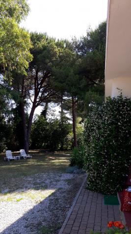VILLA di 4 vani e di 70 mq (PORTOFERRAIO) rif. 108_15 - Foto 6