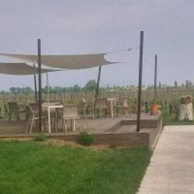 Societa' Agricola Tenuta La Borghetta