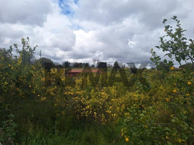 Villa o villino in affitto a Aci Sant'Antonio - Foto 13