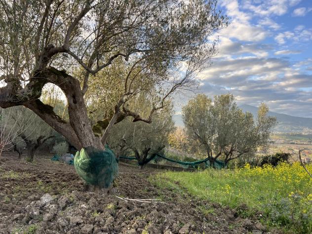 Agricolo in Via Molino Vecchio - Foto 9