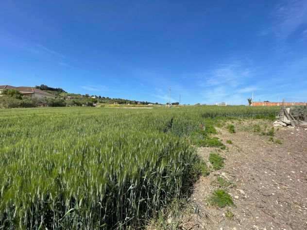 TERRENO IN CONTRADA CALICI CANICATTI - Foto 4