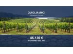 Immobile in asta di 56464 m² in vendita a Guiglia