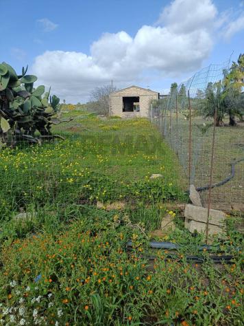Terreno in vendita a Lentini - Foto 9