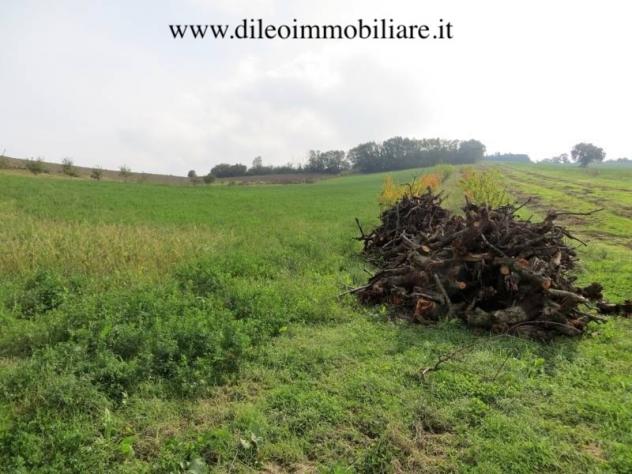 Casale in vendita a Pesaro - Foto 11