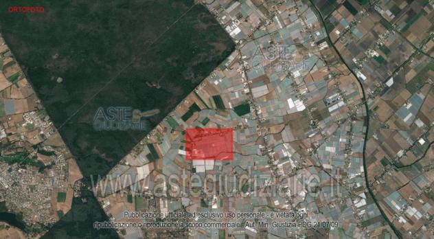 IMMOBILI-ALTRA CATEGORIA-Via Sant Isidoro, Sabaudia LT, Italia - Foto 4