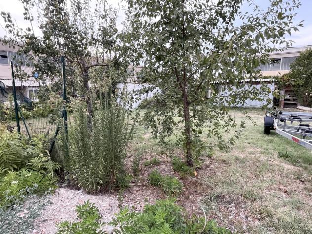 Scoperto in affitto a Rosignano Marittimo - Foto 15