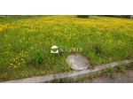 AREA EDIFICABILE di 1400 mq (GIAVERA DEL MONTELLO) rif. SW21_5