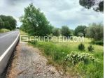Terreno di 23396 mq  in vendita a Ficulle - Rif. 4548130