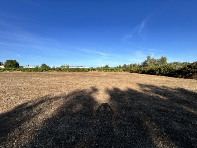 Agricolo in Via Cisternense - Foto 6