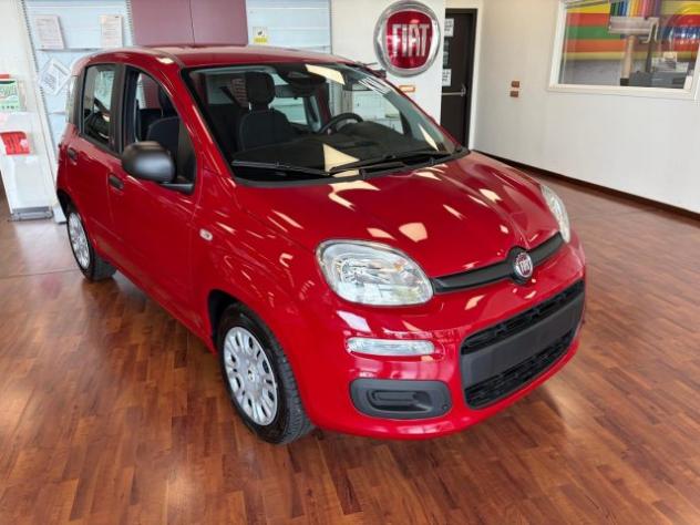 FIAT Panda 1.0 FireFly 70cv S&S Hybrid ICON KMZERO rif. 24047026 - Foto 3