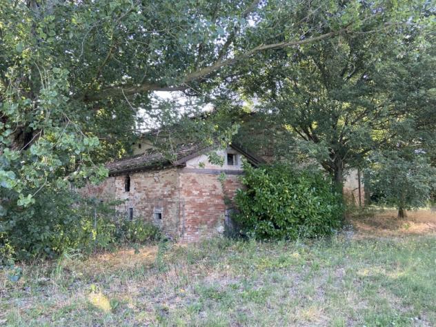 A648. CAMPOGALLIANO. Casale di campagna con basso servizio e giardino di più di 3.000 mq. - Foto 9