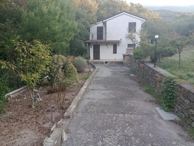 VENDESI A CHIUSAVECCHIA CASA INDIPENDENTE IN OTTIMO STATO CON GARAGE E GRANDE TERRENO DI OLTRE 4000 MQ