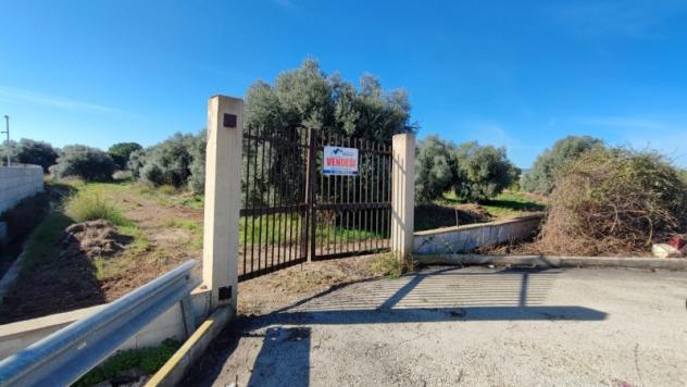 Terreno Agricolo di mq 7000 in strada per Floridia