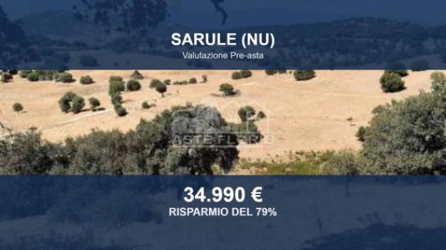 Immobile in asta di 257589 m² in vendita a Sarule