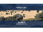 Immobile in asta di 257589 m² in vendita a Sarule