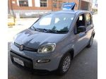 FIAT Panda 1.0 FireFly S&S Hybrid NOBOLLO FINO A GENNAIO 2028 rif. 23844167
