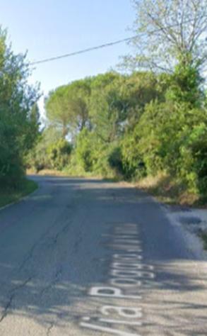 Immobile in asta di 501 m² in vendita a Fauglia - Foto 6