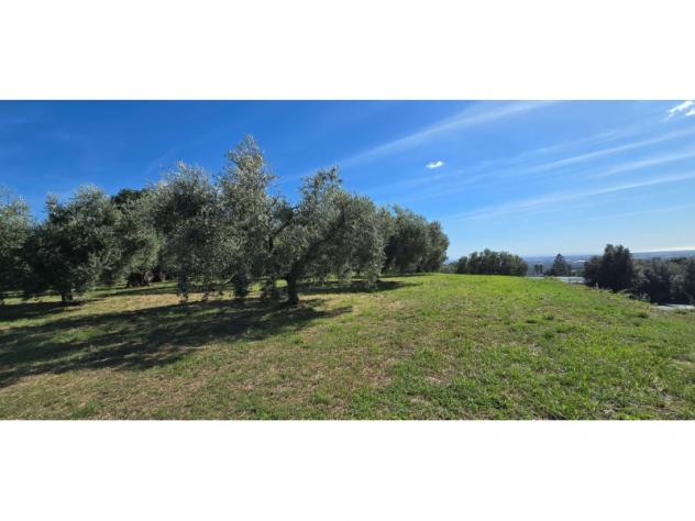 Agricolo in Viale del Lavoro - Foto 4