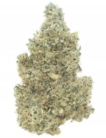Green Apple