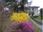 Brebbia - casa semindipendente con giardino