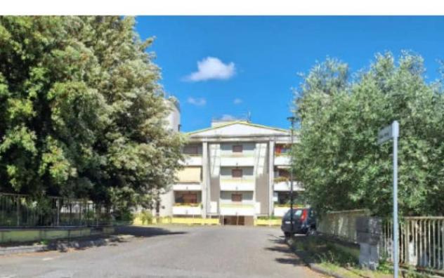 Immobile in asta di 80 m² con più di 5 locali in vendita a Canino - Foto 2