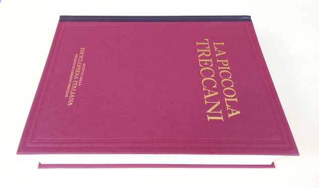 La Piccola Treccani VII MAF-NAP Dizionario enciclopedico Ed.Treccani, Roma 1995 - Foto 4