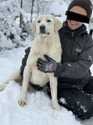 ARTIC, bianco come la neve! Buonissimo - Foto 3