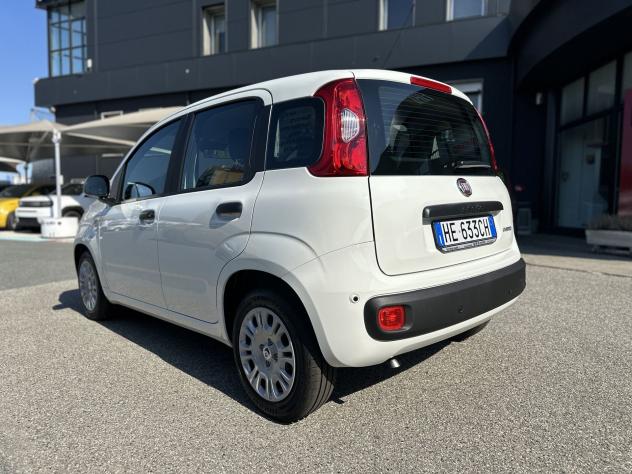 FIAT Pandina 1.0 FireFly 65cv S&S 6m Hybrid Pop - Foto 5