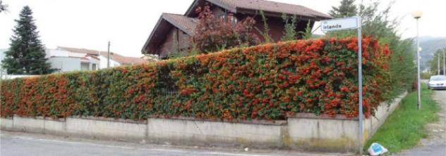 Immobile in asta di 318 m², box auto in vendita a Rende - Foto 14