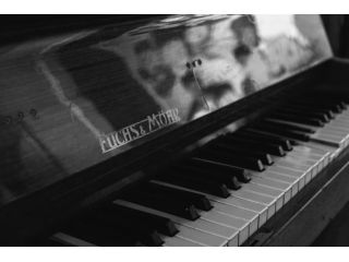 Lezioni di pianoforte Cinisello Balsamo