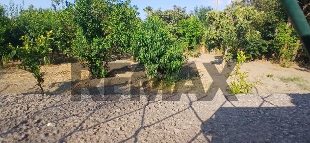 Terreno in vendita a Calatabiano, San Marco - Foto 12