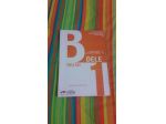 DELE B1