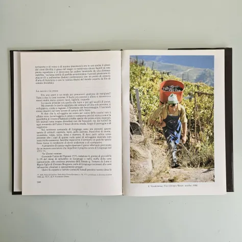 Lisignago nella Storia - Remo Stenico - Biblioteca Francescani - 1991 - TRACCIAT - Foto 5
