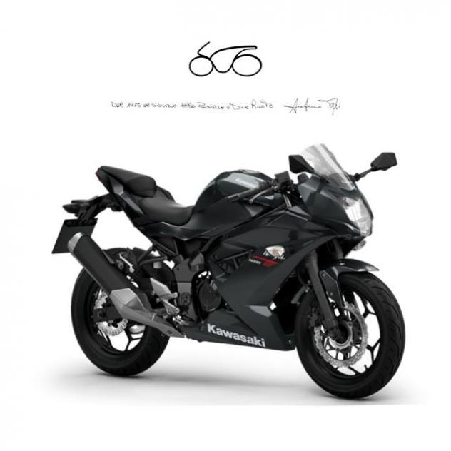 KAWASAKI NINJA 125 ABS . rif. 20669347
