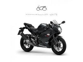 KAWASAKI NINJA 125 ABS . rif. 20669347