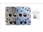 YN719325-11700 TESTATA MOTORE YANMAR 2TNE68 MICROCAR JDM CHATENET BELLIER