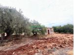 Rif: 2754 - Terreno agricolo in vendita in Contrada Comuni – Comiso