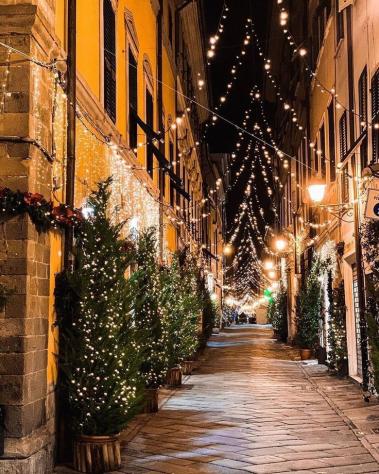 Locale commerciale in affitto a Sarzana