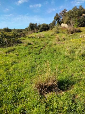 Terreno in vendita a Francofonte - Foto 15