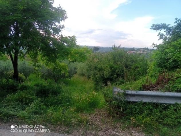 Uliveto in vendita a Lanciano - Foto 16