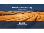 Immobile in asta di 30 m² in vendita a Montalto Uffugo