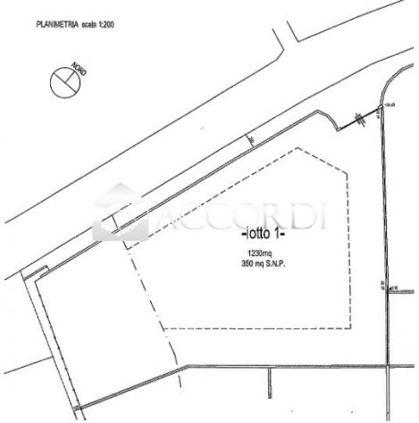 AREA EDIFICABILE di 1230 mq (NERVESA DELLA BATTAGLIA) rif. PT3A - Foto 2