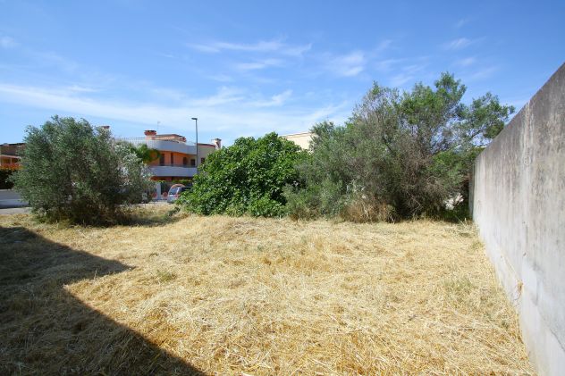 Terreno edificabile con progetto - Foto 6