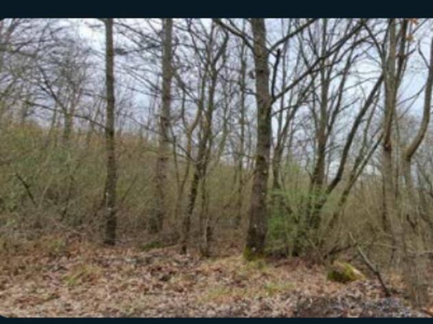 Immobile in asta di 195140 m² in vendita a Piancastagnaio