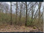 Immobile in asta di 195140 m² in vendita a Piancastagnaio